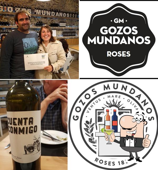 GOZOS MUNDANOS