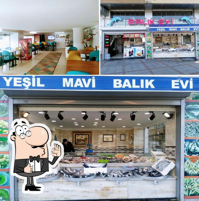 Yesil Mavi Balik Evi