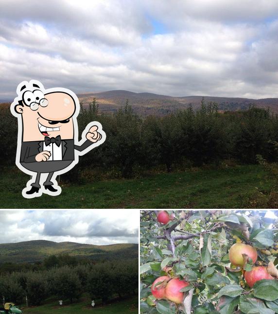 Lakeview Orchard