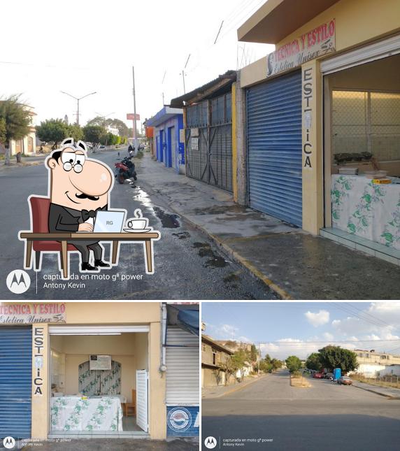 Los mongos