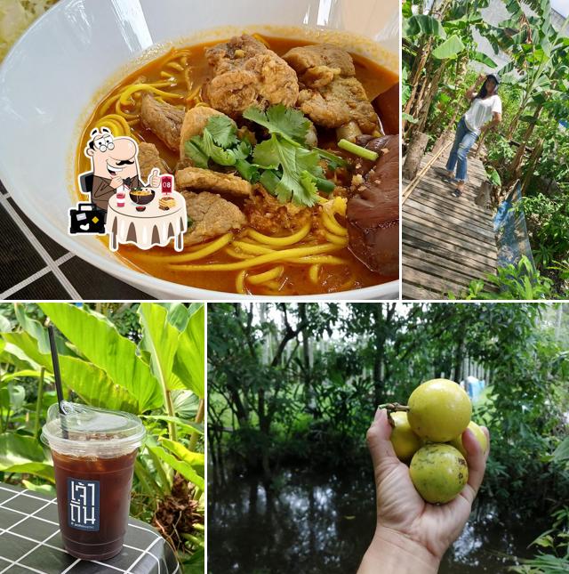 เจ้าถิ่น สะเดา