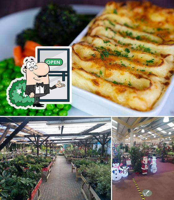 Lewes Garden Centre