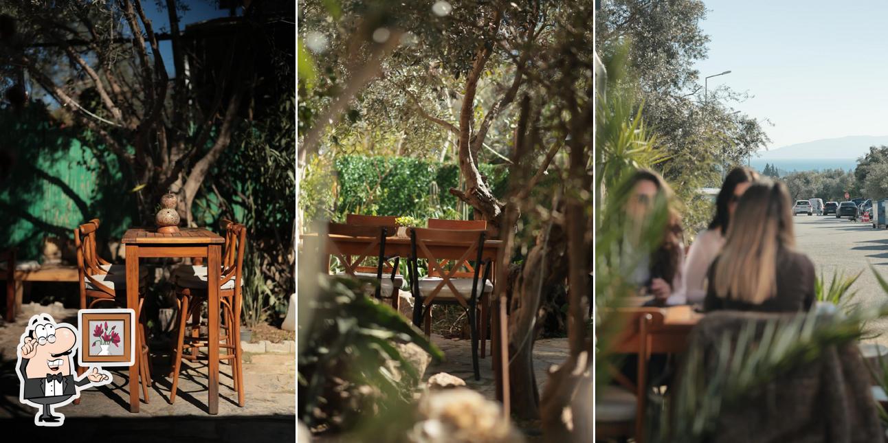 Rumbe Gastropub & Garden
