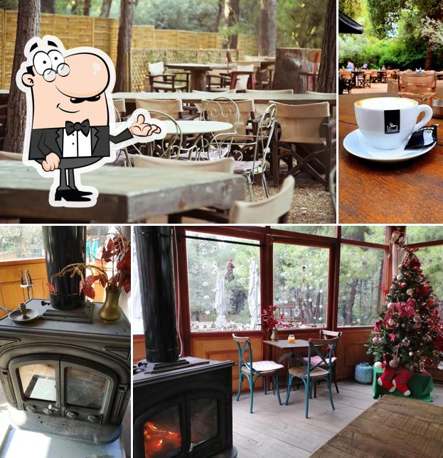 Botanical Garden Bistrot