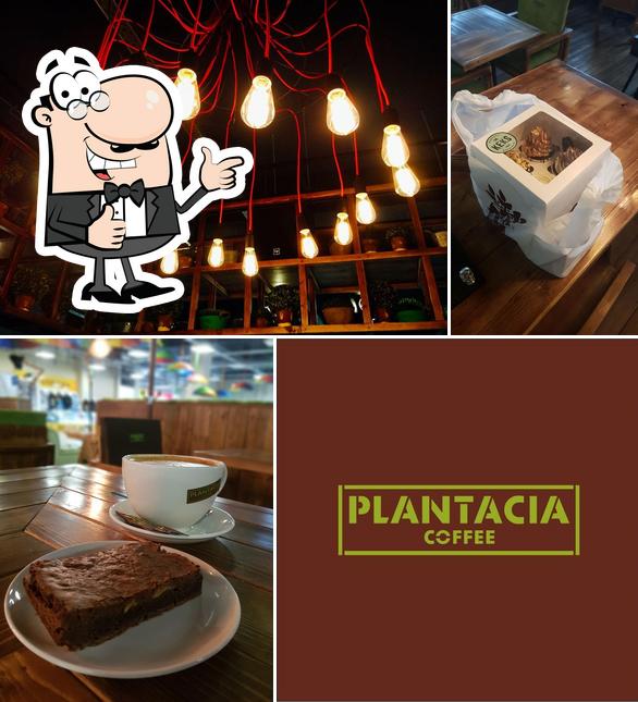 Plantacia
