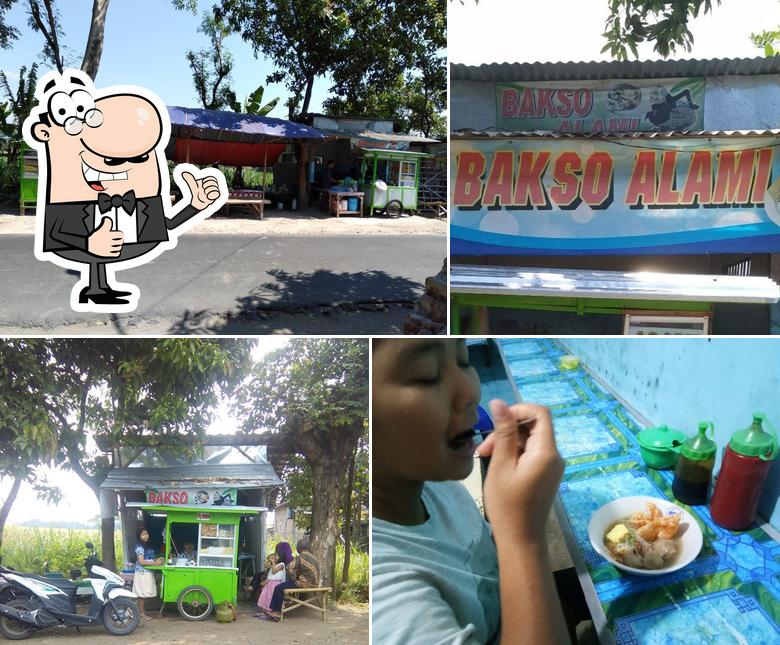 Bakso Alami