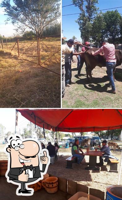 Pajaretes la vaquilla
