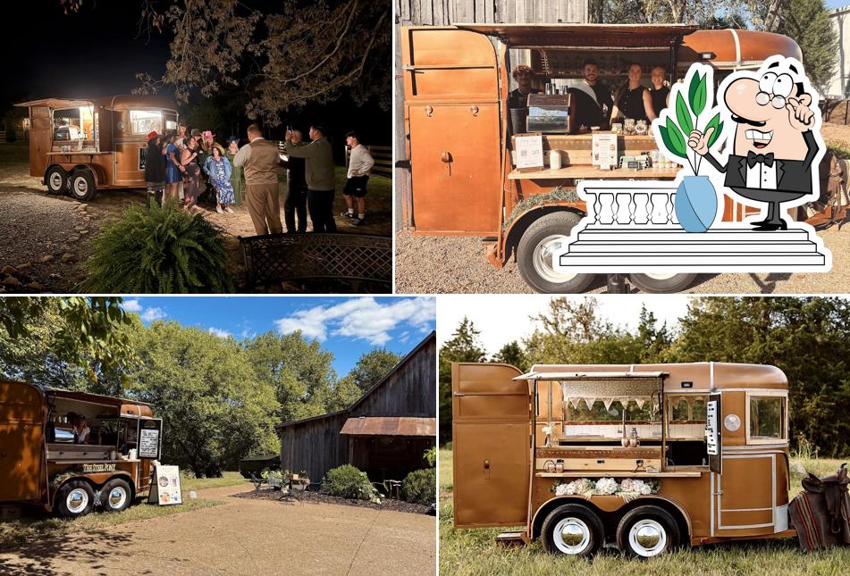 The Steel Pony - Leipers Fork