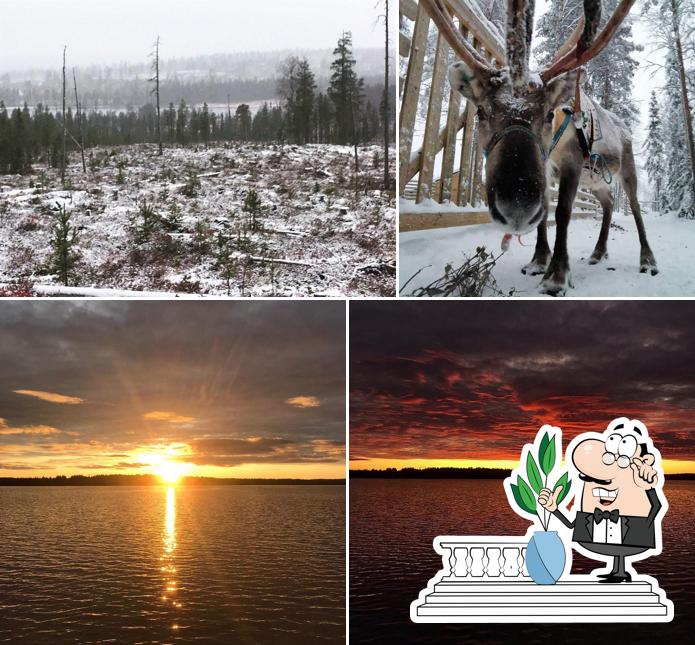 Sirmakko Reindeer Farm