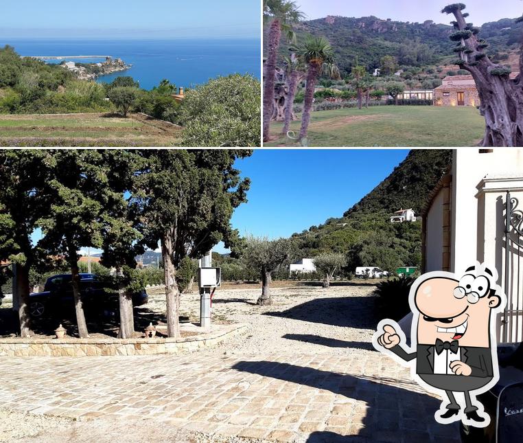 Tenuta Spinola