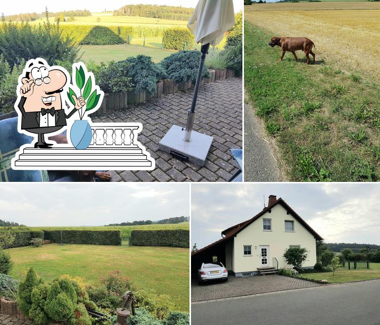 Grillhütte Buchenberg