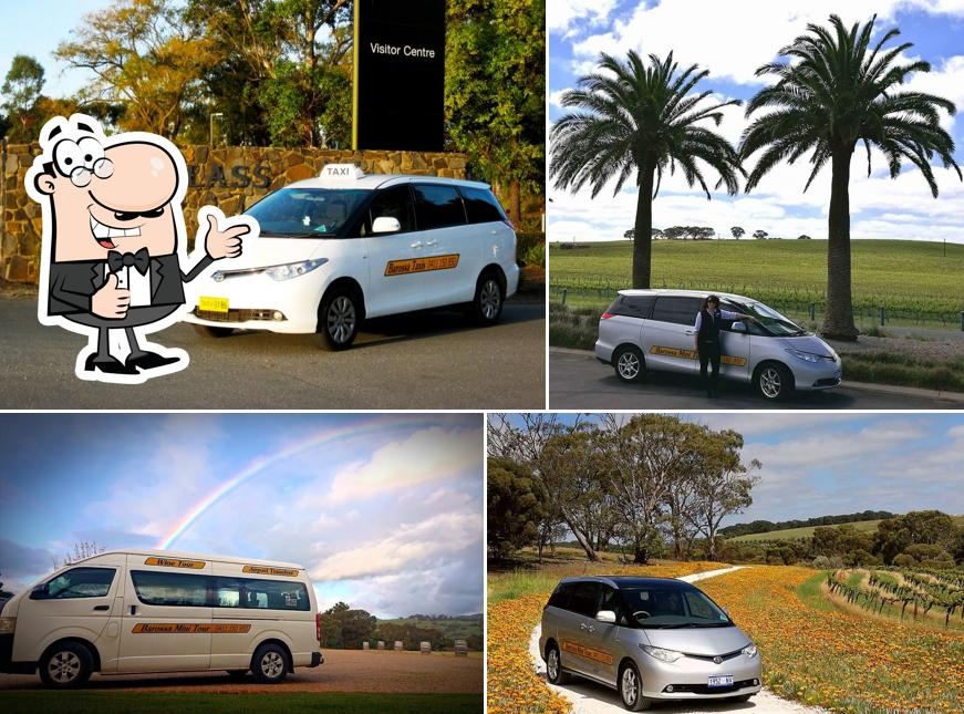 Barossa Taxis and Barossa Mini Tours