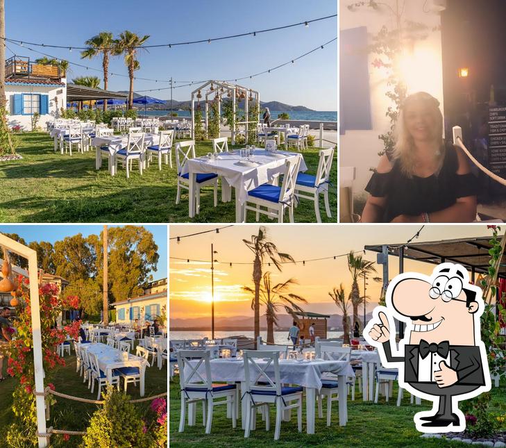 Zoi Fish Restaurant