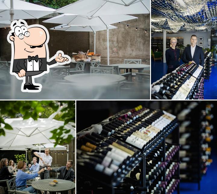 Wine Collectors