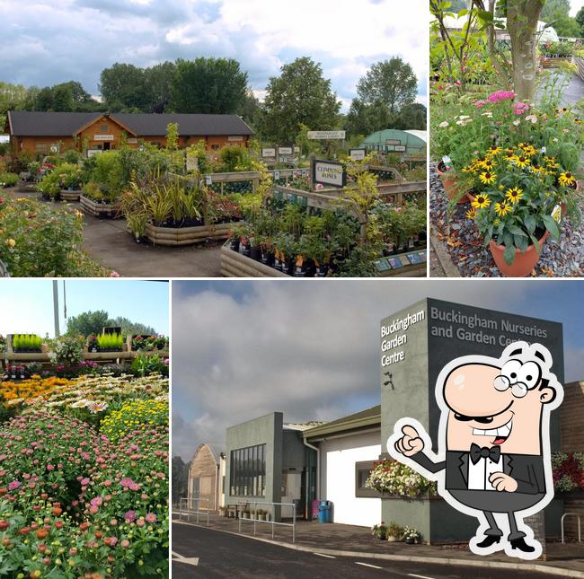 Buckingham Nurseries & Garden Centre