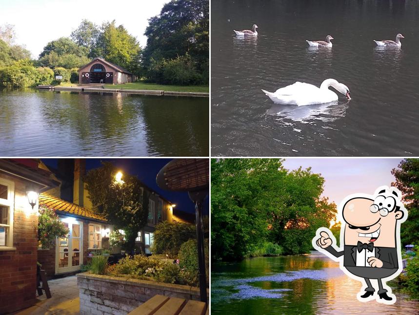The Rivergarden Bar and Kitchen