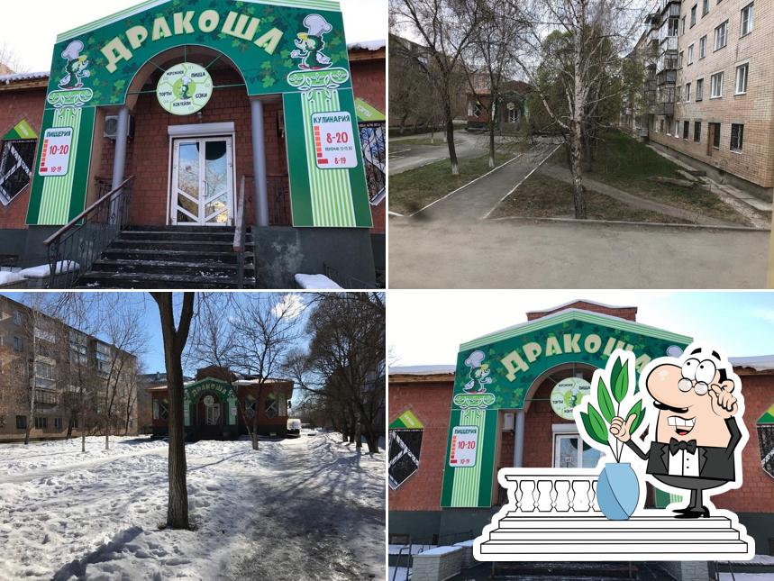 Дракоша