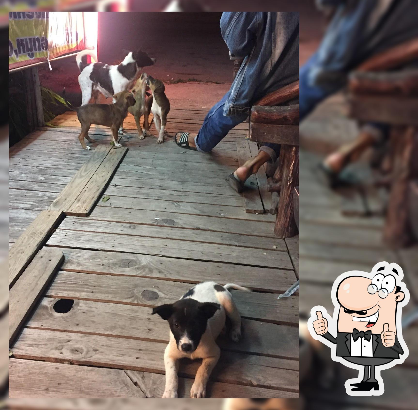 ร้านมานิตาอาหารตามสั่ง