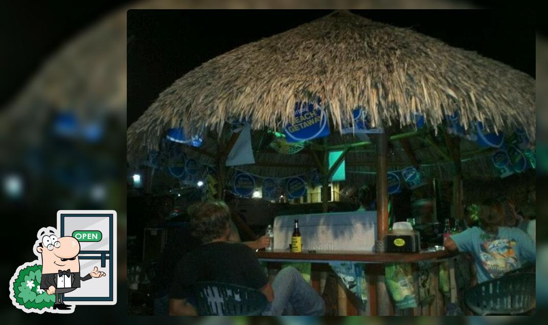 The Salty Turtle