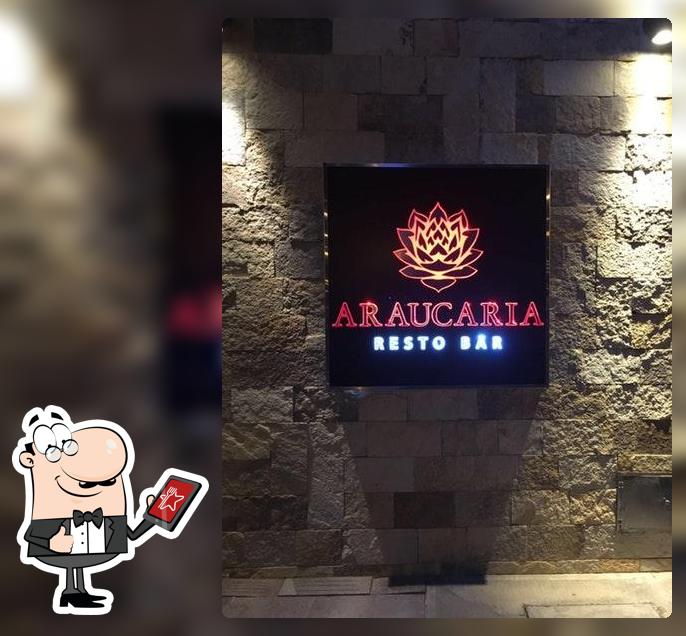 Araucaria