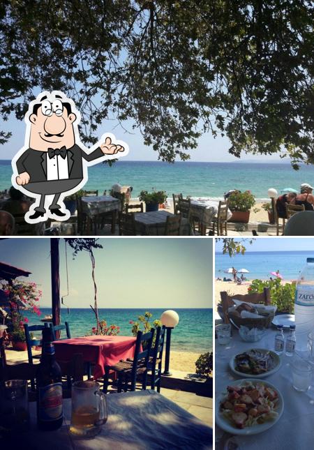 ΧΡΥΣΗ ΑΚΤΗ CAFE BAR Ταβέρνα