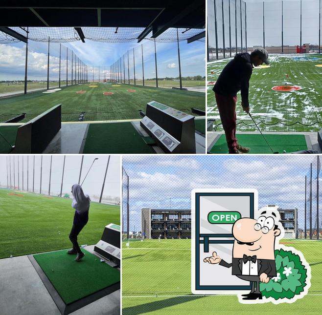 Suite Shots