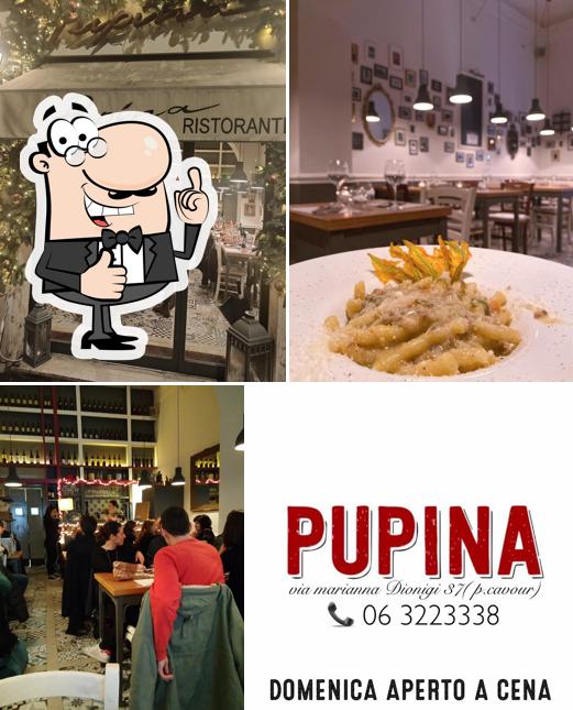 Pupina