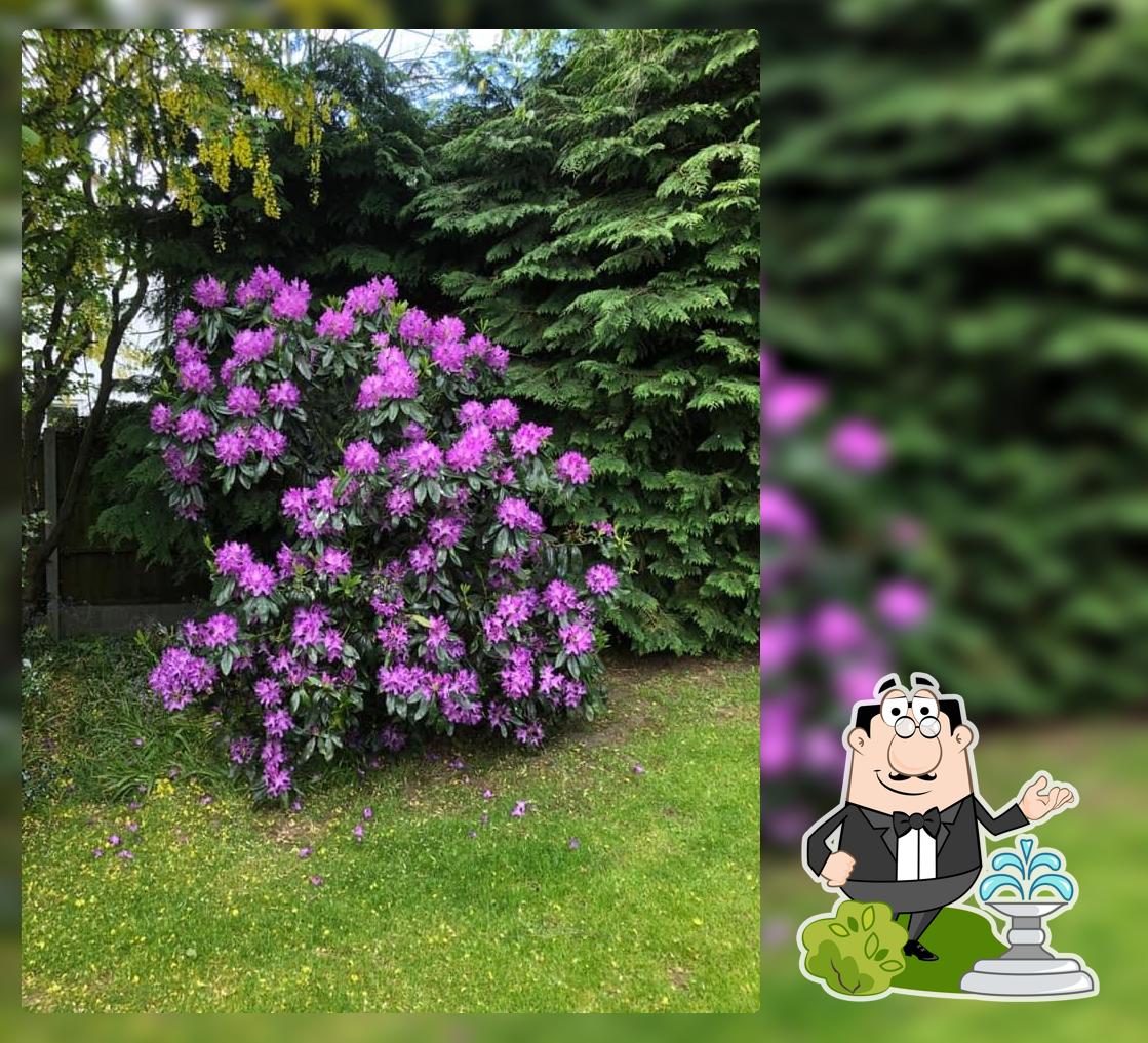 White Hart Inn