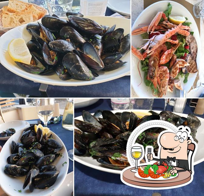 Tortuga Bistrot Marina di Cecina