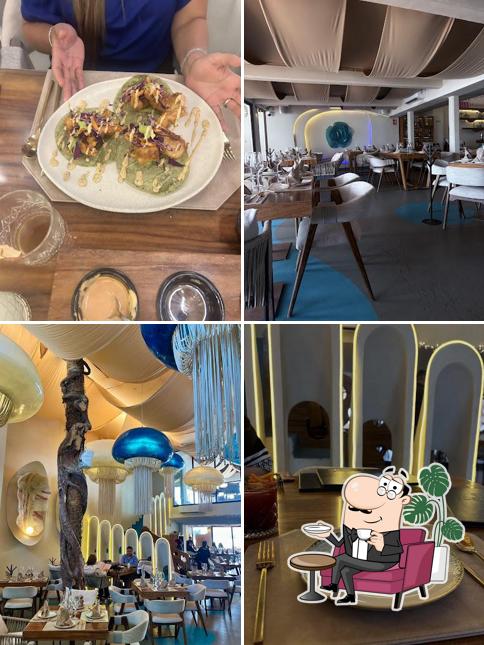El Rey del Ceviche Oyster Style Bar