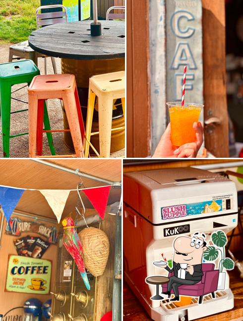 Salty Seal Cafe & Cappuccinos Coffee Shack
