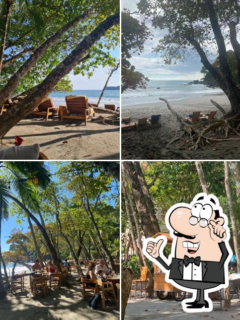Playitas Beach Club & Restaurant