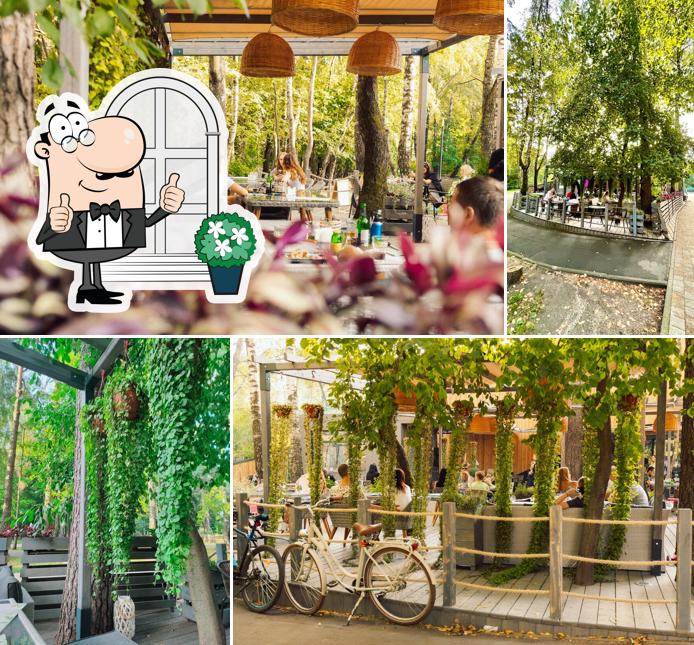 Внешнее оформление "Ботаника"