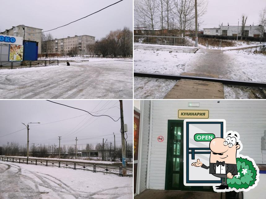 Ёлочка