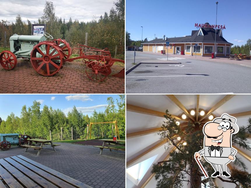 Kahvila-Ravintola Haukanpesä