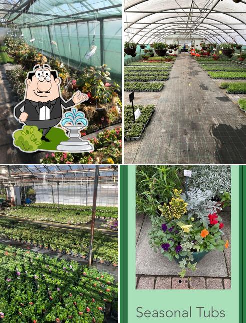 Flittons Nursery