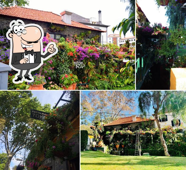 Restaurante Tokos