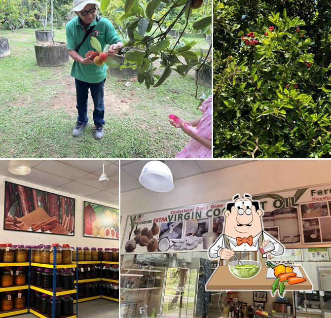 Penang Tropical Fruit Farm