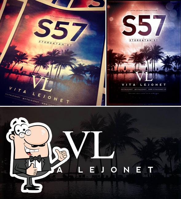 Vita Lejonet