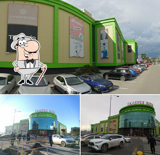 33 Пингвина