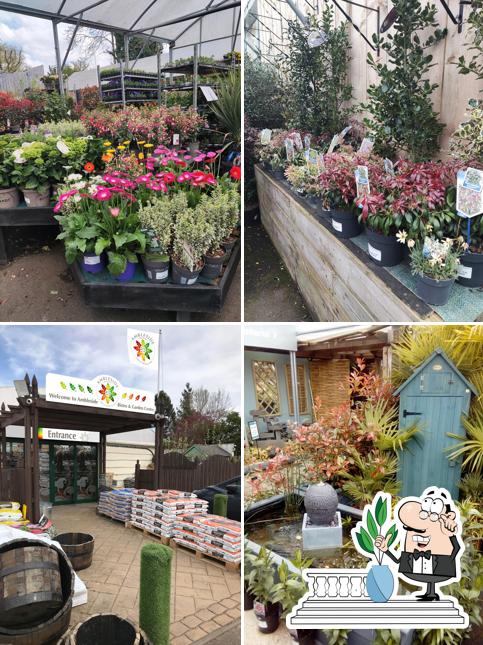 Ambleside Solihull Restaurant and Garden Centre