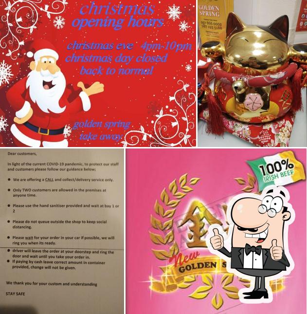 Golden Spring Chinese Takeaway Portlaoise