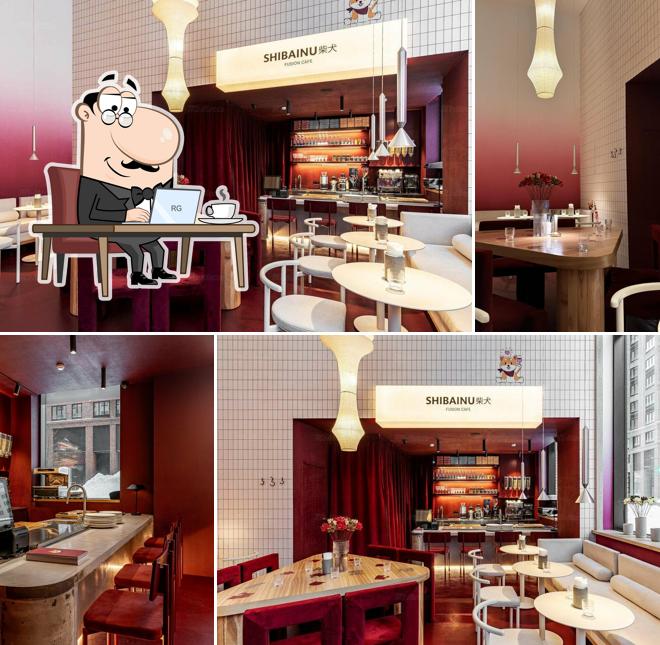 Shibainu fusion cafe