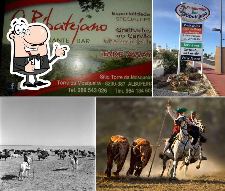 O Ribatejano Albufeira