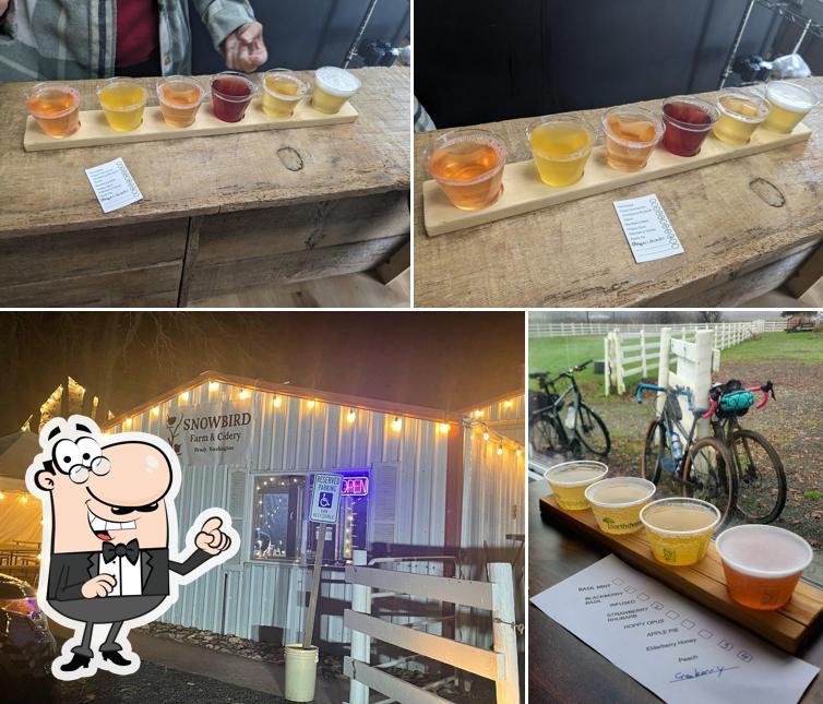 Snowbird Farm & Cidery