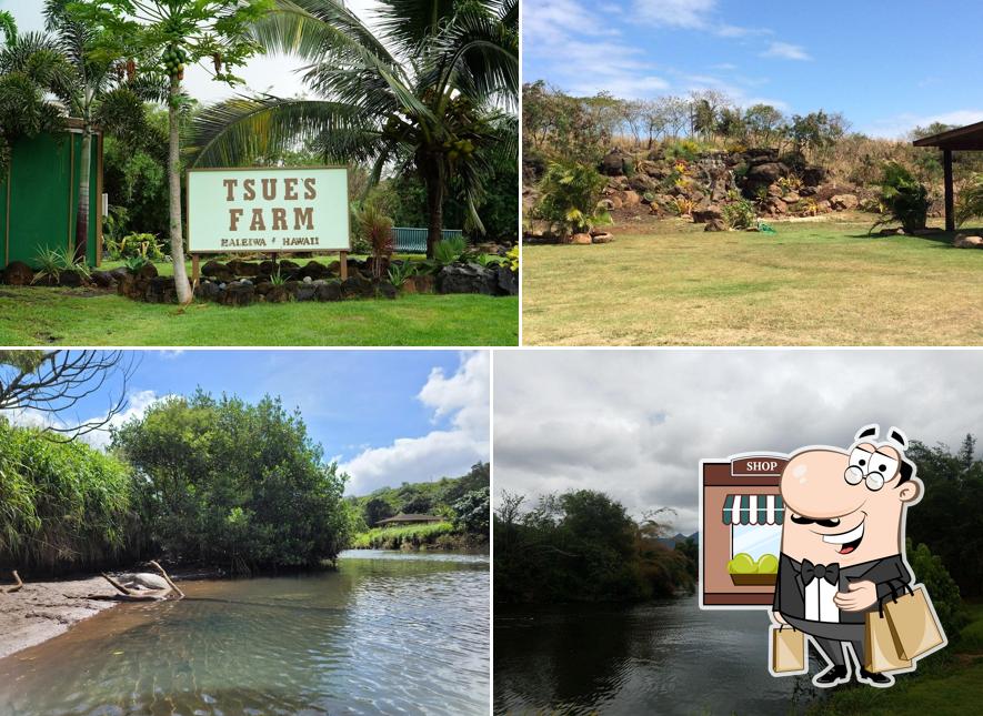 Tsue's Farm Haleiwa