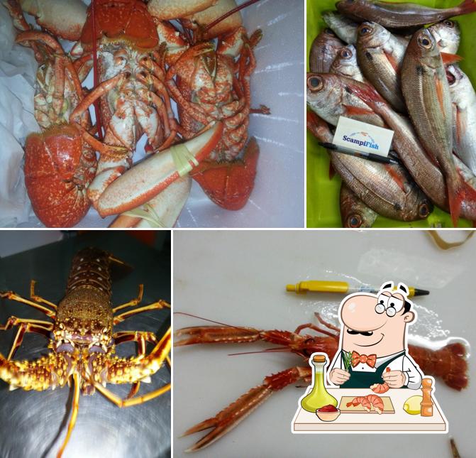 Galicia Marisco