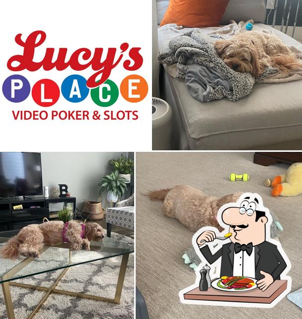 Lucy's Place