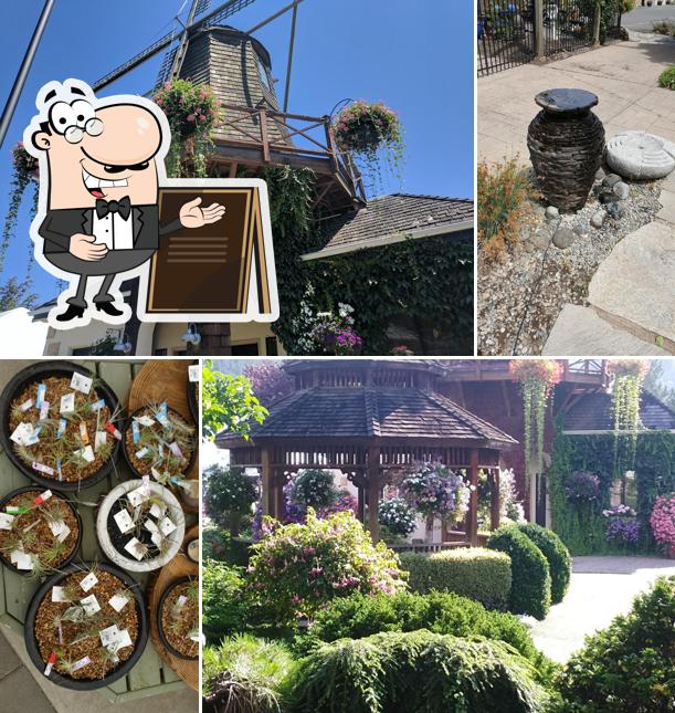 The Windmill Bistro