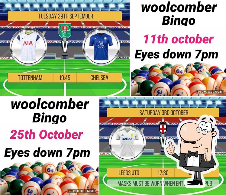 The Woolcomber